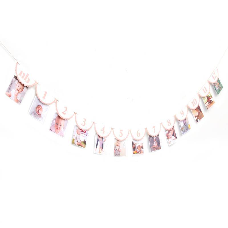 lot 40976 image: Pink Monthly Milestone Photo Banner - Baby Girl First Year Photo Banner, Pink 1st Birthday Party Decoration for Girl, Newborn to 12 Months Photo Garland, Girl Birthday Cake Smash Photo Props Backdrop - Retail $13
