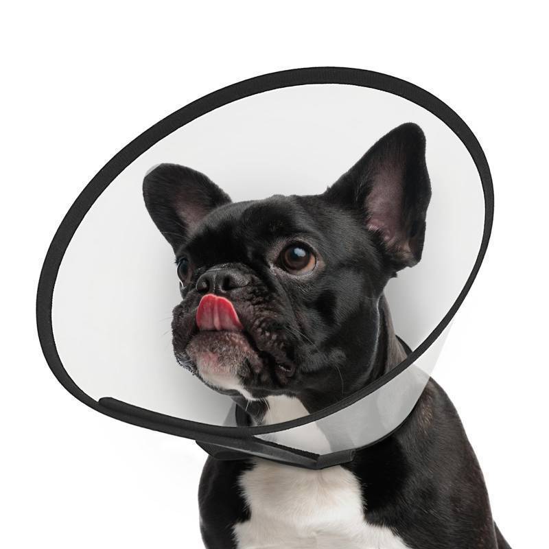 lot 35328 image: Adjustable Dog Cone Collar After Surgery to Stop Licking, E Collar for Medium Small Dogs, Pet Recovery Collar & Cone, Plastic Cone of Shame for Dogs, Dog Head Neck Cone (S-) - Retail $15