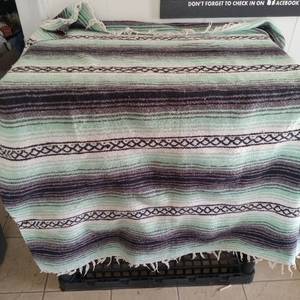 lot 4005 image: Mexican Serape Blanket in Mint and Gray