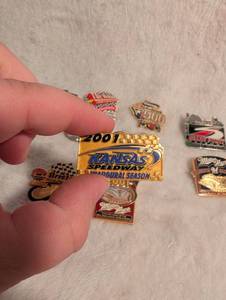 lot 5008 image: NASCAR Racing Pins Collection&nbsp