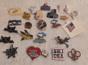 lot 5009 image: Collection of American State and Variety Pins