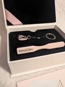 lot 5030 image: Pandora Charm Cleaning Kit with Box