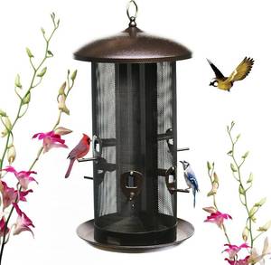 lot 3114 image: $60 Natures Rhythm Hopper Bird Feeder Dual Seed Compartments 10 Ports