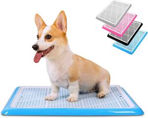 lot 3284 image: Pet Awesome Dog Potty TrayPuppy Pad Holder 25x20 Indoor Training