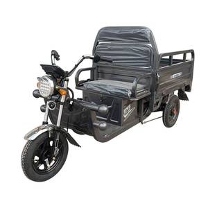 lot 8 image: UNUSED - Onshine Electric Cargo Tricycle - Gray