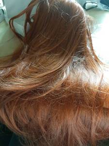 lot 36338 image: Chestnut Brown Short Wavy Wig for Women Lace Hairline Bob Style Synthetic Heat Resistant - Natural Appearance for Everyday Hairstyle  - Retail $38