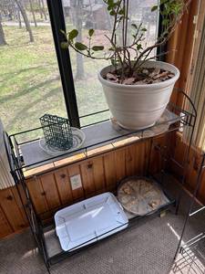 lot 4341 image: Metal Wire Plant Stand with Multiple Shelves