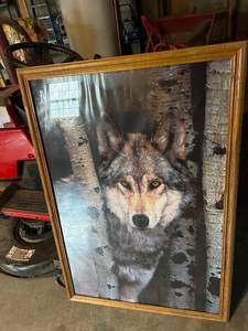 lot 4416 image: Framed Wolf Portrait Print in Gold Frame