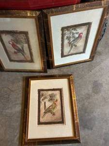 lot 4428 image: Framed Bird Artwork Collection with Gold Frames