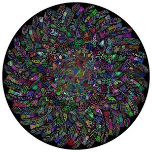 lot 50877 image: Bgraamiens Puzzle-The Indian Feather-1000 Pieces Round Puzzle Color Challenge Jigsaw Puzzles for Adults - Retail $10