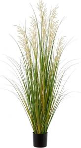 lot 2626 image: Artificial Plant, 47in Tall Pampas Grass, Faux House Plants in Pot, Indoor Decorative Flowers &Greenery for Home and Office, Ideal Housewarming Gift