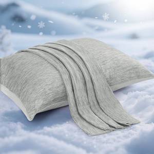lot 329 image: Elegear Cooling Pillow Cases for Hot Sleepers, Japanese Q-Max 0.5 Cooling Pillowcases, Both Sides(CoolingCotton), Breathable Soft Pillowcase for Hair and Skin, Set of 2-Gray (Standard (20 x 26)) - Retail $19