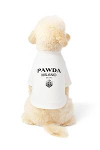 lot 568 image: Luxury Designer Dog T Shirt �� Cute Puppy Clothes for Medium Dogs, Fashion Pet Tee Outfit for French Bulldogs & Chihuahuas, Everything Chic Dog Apparel Medium - Retail $17