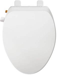 lot 13940 image: Elongated Bidet Toilet Seat Non-Electric, Slow-Close Lid, Adjustable Water Pressure, Self-Cleaning Dual Nozzles for Frontal &amp Rear Wash Hygienic Fresh Water Bidet Seat with Brass Inlet
