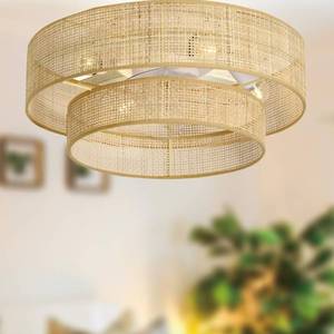 lot 15443 image: Eamonex 20 inches Flush Mount Bamboo Wicker Boho Ceiling Fan with Light,Bladeless Enclosed Low Profile Fandelier for Indoor Bedroom Kitcheny - Retail $110