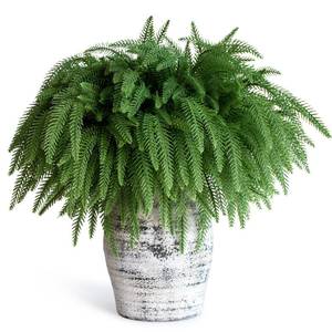 lot 34205 image: 12 Pcs Christmas Norfolk Pine Branches - 18 Artificial Norfolk Branch Faux Stem Greenery