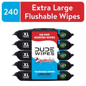 lot 15616 image: DUDE Wipes Poopsicle, Ice-Pop Scented Extra Large Flushable Wipes 48 Count 5 Pack (240 Total)