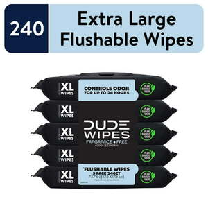 lot 15647 image: DUDE Wipes Fragrance Free Plus Odor Control, XL Wet Wipes (48 Count 5 Pack)