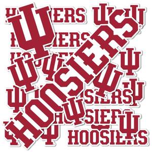 lot 34358 image: Desert Cactus Indiana University Sticker Hoosiers Bloomington Vinyl Decals Laptop Water Bottle Car Scrapbook Sheet T1 (Type 1-1)