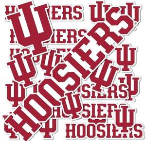 lot 33280 image: Desert Cactus Indiana University Sticker Hoosiers Bloomington Vinyl Decals Laptop Water Bottle Car Scrapbook Sheet T1 (Type 1-1)