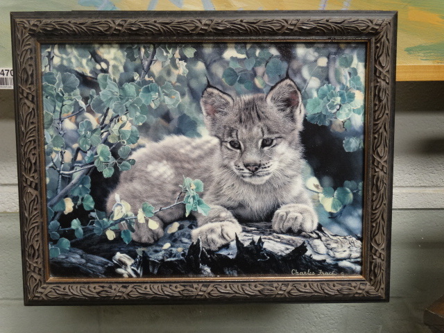 lot 11478 image: Charles Frace framed wildlife print- 14x11