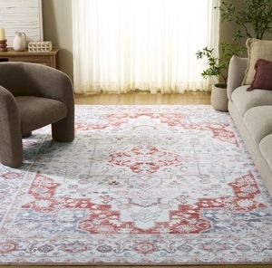 lot 33306 image: SAFAVIEH Arizona Seine Oriental Machine Washable Area Rug, Light GrayRust, 8 x 10