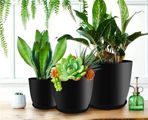 lot 34489 image: Utopia Home - Plant Pots Indoor with Drainage