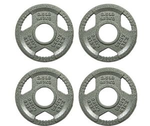 lot 35166 image: EDX 2-Inch Olympic Cast Iron Weight Plate  Rust-Resistant, Grip-Friendly Design for Powerlifting, CrossFit, and Home Gym Training 10LB(2.5LB x 4)