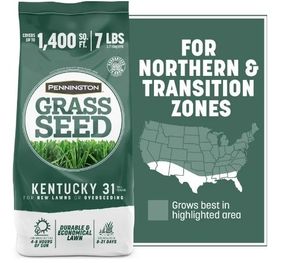 lot 14088 image: Pennington Kentucky 31 Tall Fescue Grass Seeds for Lawn, for Sun to Partial Shade, 7 lb