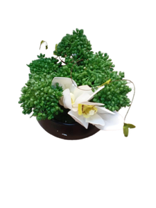 lot 35543 image: Fake Japanese Bonsai Tree with White Orchid Flower Arrangement