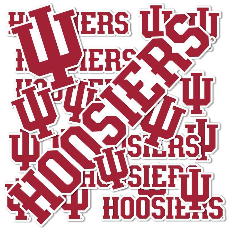 lot 34357 image: Desert Cactus Indiana University Sticker Hoosiers Bloomington Vinyl Decals Laptop Water Bottle Car Scrapbook Sheet T1 (Type 1-1)