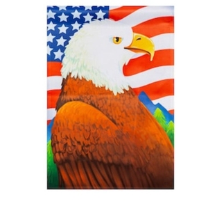 lot 8657 image: Style Selections 1-ft W x 1.5-ft H Patriotic Garden flag