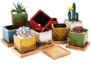 lot 1364 image: TOPZEA Set of 10 Succulent Planter Pots, 2 Inch Square Ceramic Glazed Cactus Plant Pot Tiny Flower Container with Drainage Hole & Bamboo Tray for Desk, Windowsill, Home Decor, Coffee Bar
