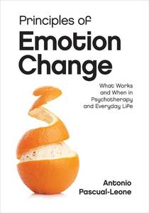 lot 2459 image: Principles of Emotion Change What Works and When in Psychotherapy and Everyday Life