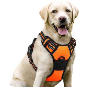 lot 6099 image: rabbitgoo Dog Harness No Pull with 2 Leash Clips, Adjustable Soft Padded, Reflective Oxford No Choke Pet Vest with Easy Control Handle for Large Dogs,Orange,L