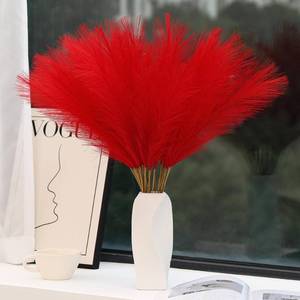 lot 10031 image: Wertuirk Red Pampas Grass Decor - 30pcs 24 Inch Short Artificial Pampas Grass Decor, Fake Pompas Floral for Vase Filler, Wedding Flower Arrangement, Party and Home Decor (Red)