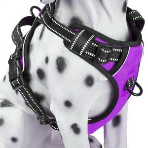 lot 10108 image: PoyPet No Pull Dog Harness, Reflective Comfortable Vest Harness with Front & Back 2 Leash Attachments and Easy Control Handle Adjustable Soft Padded Pet Vest for Small to Large Dogs (Purple,L)