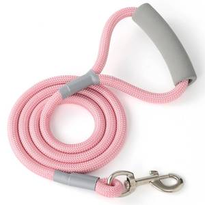 lot 12424 image: Mile High Life Dog Leash, with Comfortable Padded Handle, Pink Nylon Rope Leash with Steel Tips, Heavy Duty 5 Feet Pet Leashes (Pink,60 Inches)