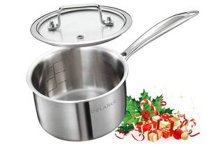 lot 12427 image: DELARLO Tri-Ply Stainless Steel 2.5 QT Saucepan with Lid, Heavy Duty Induction Pot, Fast Even Heat, Fuel Saving, Induction Cookware, Kitchen and Dining Steel Saucepan (No Lid)