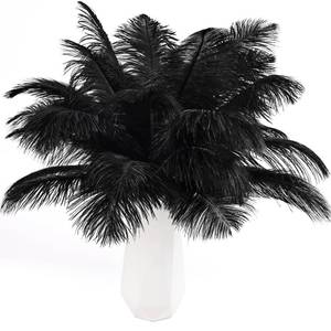 lot 18032 image: THARAHT Black Ostrich Feathers 24pcs Natural Bulk 8-10Inch 20cm-25cm for Crafts Wedding Party Centerpieces Halloween and Home Decoration Feathers
