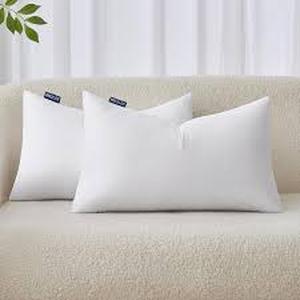 lot 9123 image: MIAOLY White Pillow Insert King Size