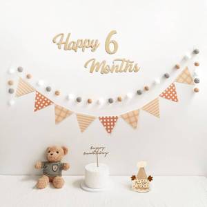 lot 2118 image: Happy 6 Months Banner Pre-Strung Pennant Felt Fabric Banner Flags and Pom Pom Garland, Party Hat for Half Birthday Decorations, Reusable Half Way to One Bunting Sign for Girl Boy 6 Months Party