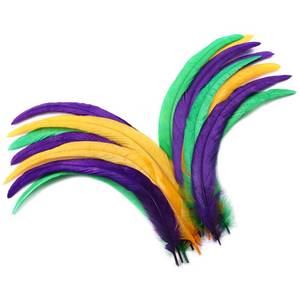 lot 2203 image: Holmgren Mardi Gras Rooster Feathers - 60pcs 12-14inch Natural Long Rooster Tail Feathers Bulk for DIY Crafts Mardi Gras Masquerade Carnival Party Performances Decoration (Mardi Gras)