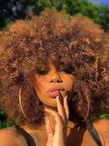 lot 12030 image: GKtineke Afro Wig 14Inch Afro Wigs for Black Women 70s Mixed Brown Afro Kinky Curly Wig Bouncy Huge Fluffy Puff Wigs Synthetic Hair for Cosplay Daily and Party (Mixed Brown)