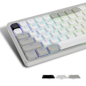 lot 14164 image: Womier Low Profile Keycaps - Shine Through Keycaps 60 65 75 100 Percent, Keyboard Key caps PBT Full Size for Cherry Gateron MX Switches Mechanical Keyboard, GreyWhite