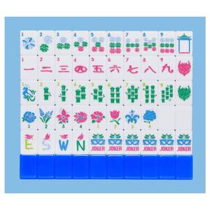 lot 17410 image: Jongyance American Mahjong Tile Set(Blue) with Carrying Bag and Accessories, 160 Acrylic Engraved Mahjong Tiles