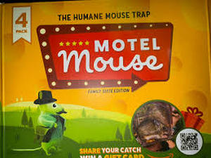lot 14094 image: Humane Mouse Trap 4 Pack Set with Instructions