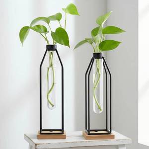 lot 5024 image: Houmury Test Tube Vase Set of 2, 11and12.5 Inch Flower Vases with Iron Stand and Wood Base, for Home Dcor, Table Decor, Modern Farmhouse Decor, Hydroponic Plants