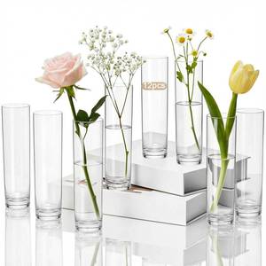 lot 6333 image: Didaey 12 Pcs Acrylic Cylinder Bud Vases for Centerpieces, Acrylic Plastic Tall Flower Vase Clear Small Vases Bulk for Single Rose Table Centerpiece Wedding Home Indoor Desk Office Party Decorations