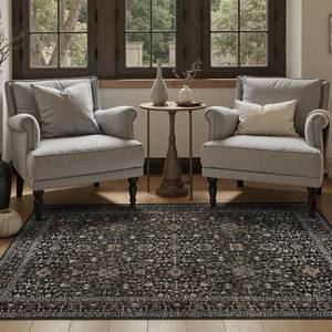 lot 12348 image: DCX Black 3x5 Rug, Kid and Pet Friendly with Rubber Back Non Slip, Machine Washable Stain Resistant Vintage Traditional Distressed Carpet, Rug for Living Room, Bedroom, Home Decor